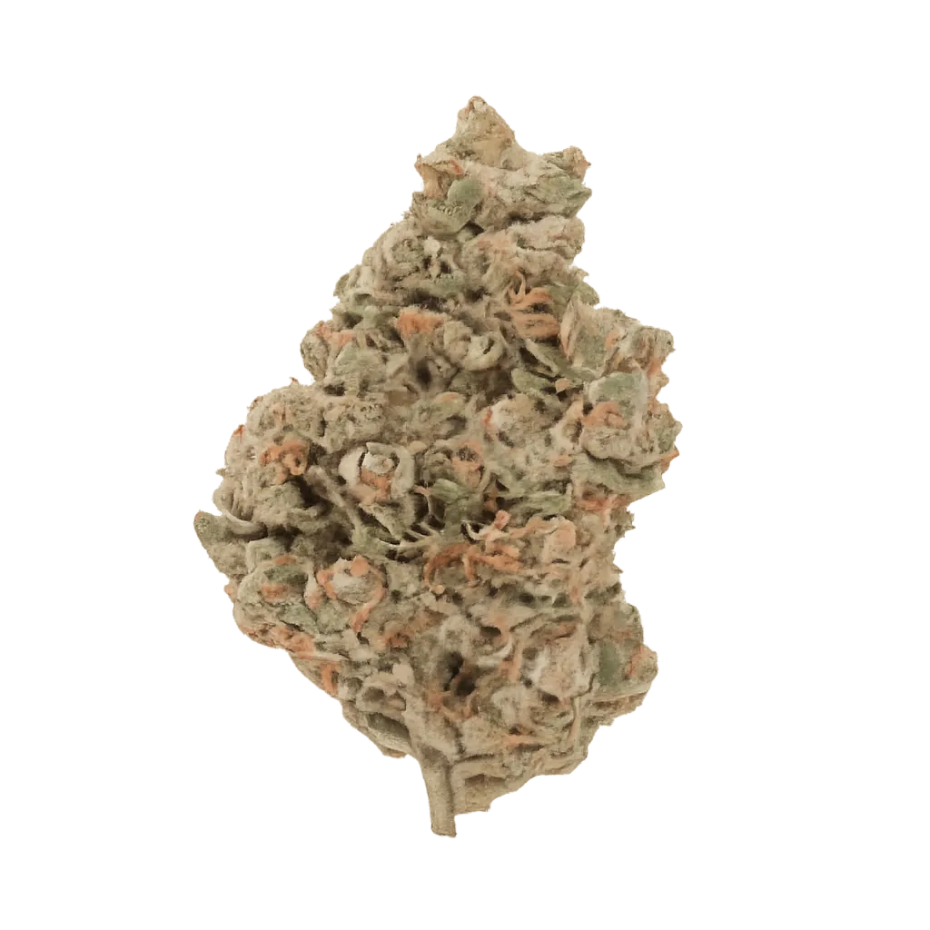 Kush Mountain Craft 33/1 RBP Rainbow Pavé