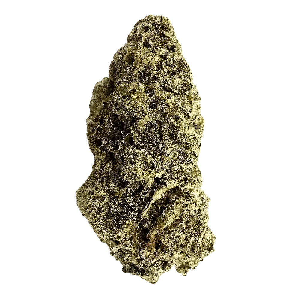 Medical Saints 21/1 MC1 MAC 1