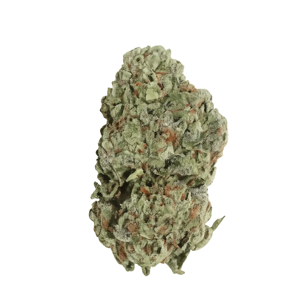 Medical Saints 27/1 DBU Donkey Butter