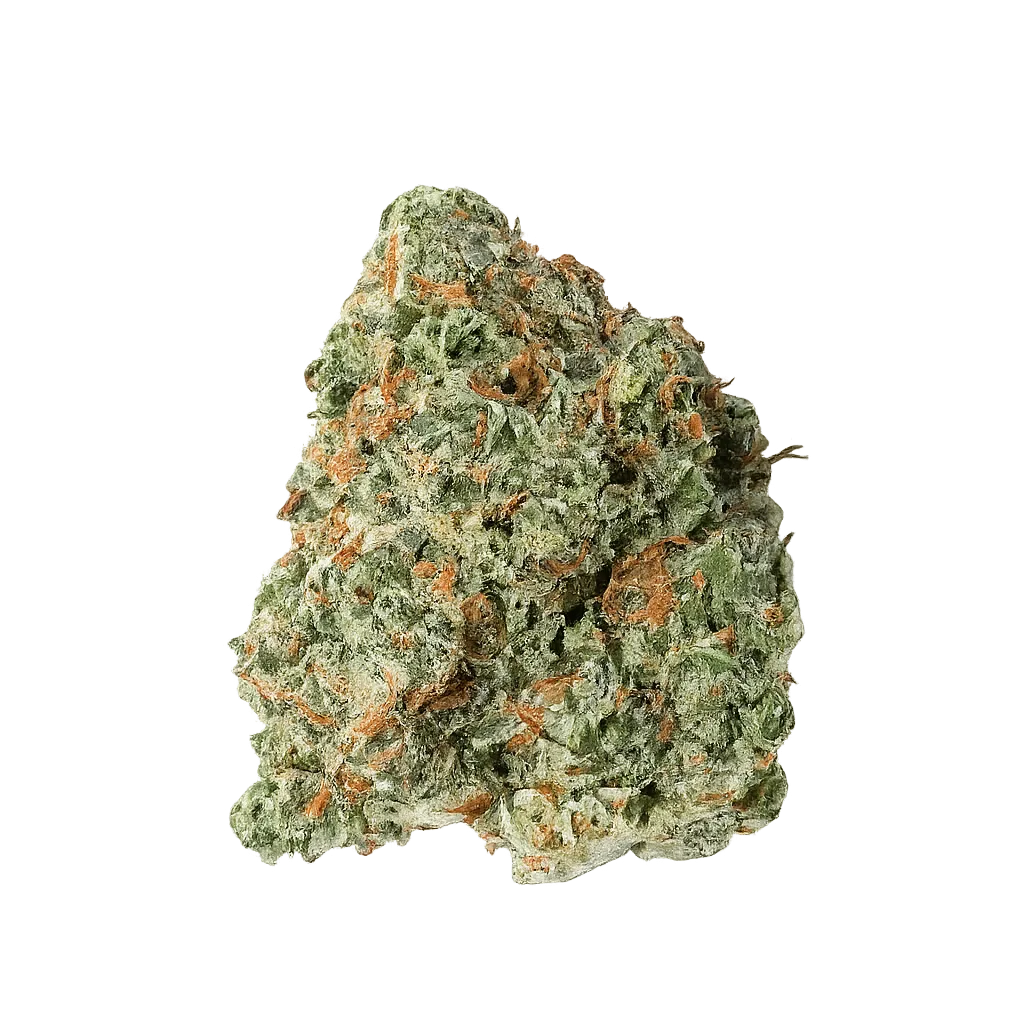 MEDTADOR 26/1 OLC OL Cream