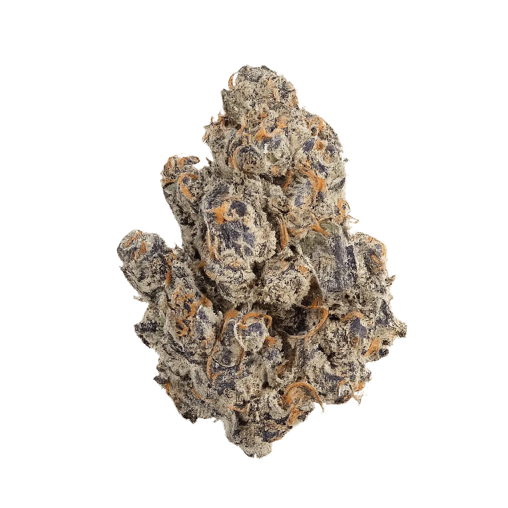 NICE 28/1 LPP Lavender x Power Plant
