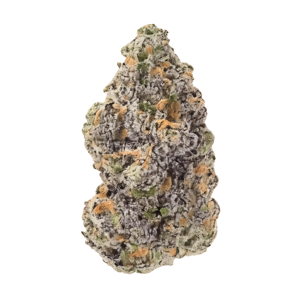 Organic Sweetgrass BLT 30/1 Blacklight