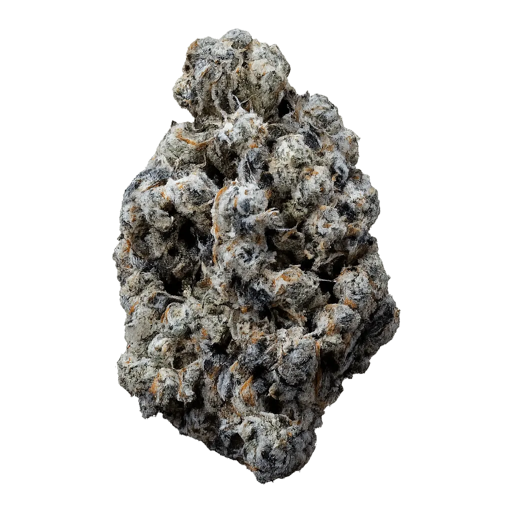 Organic Sweetgrass CB 29/1 Crunch Berries