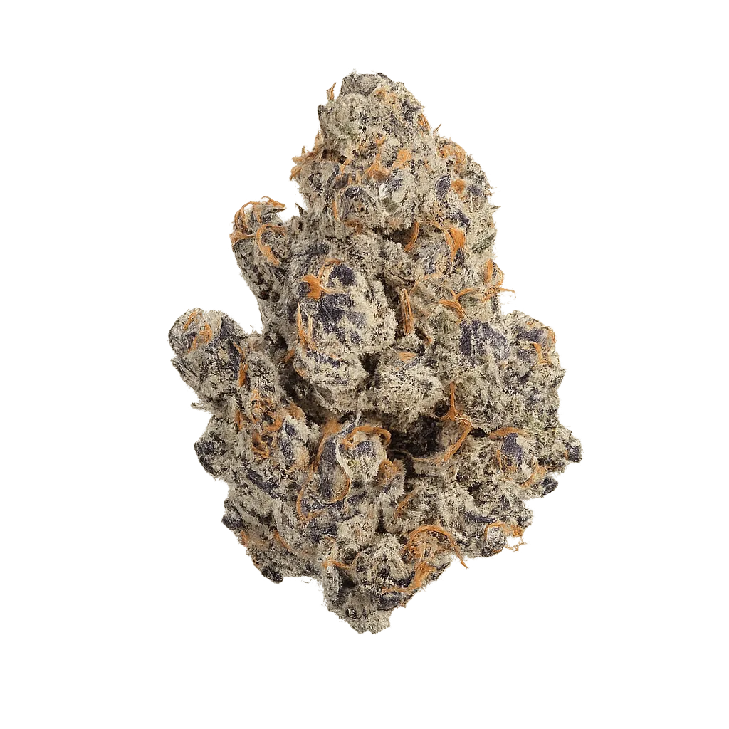 Organic Sweetgrass MCC 27/1 Mint Chocolate Chips