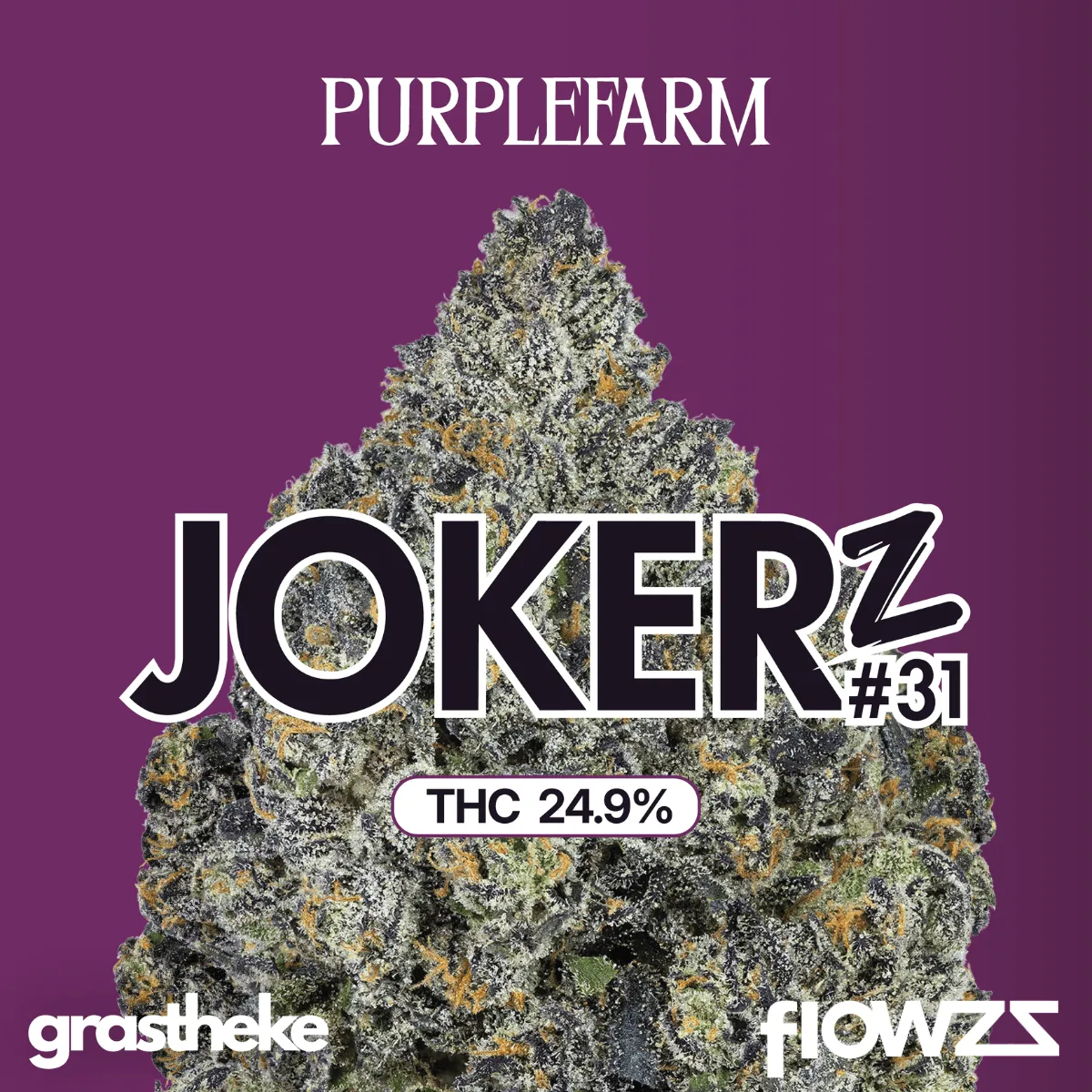 PURPLEFARM 25/1 J31 Jokerz #31
