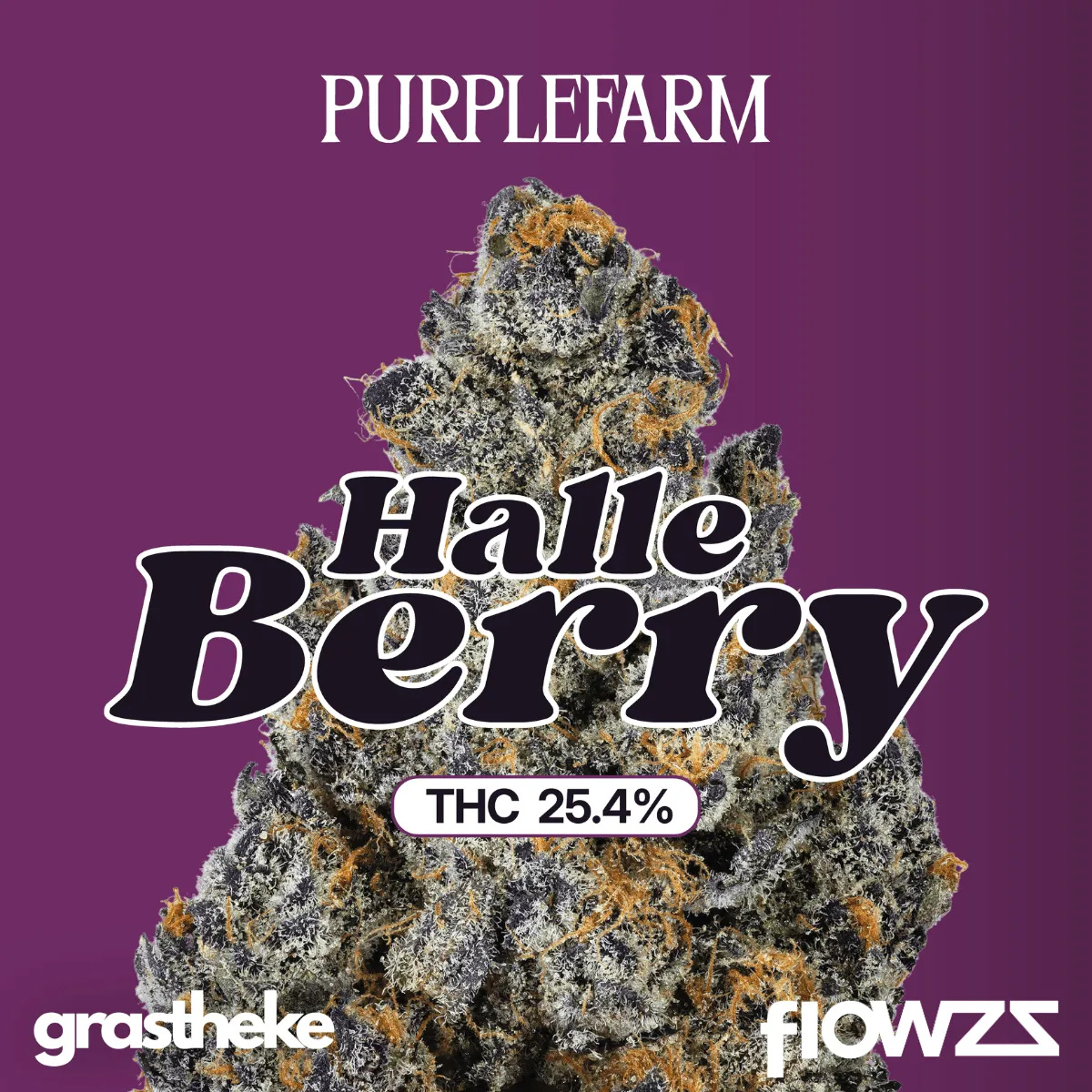 PURPLEFARM 26/1 HB Halle Berry