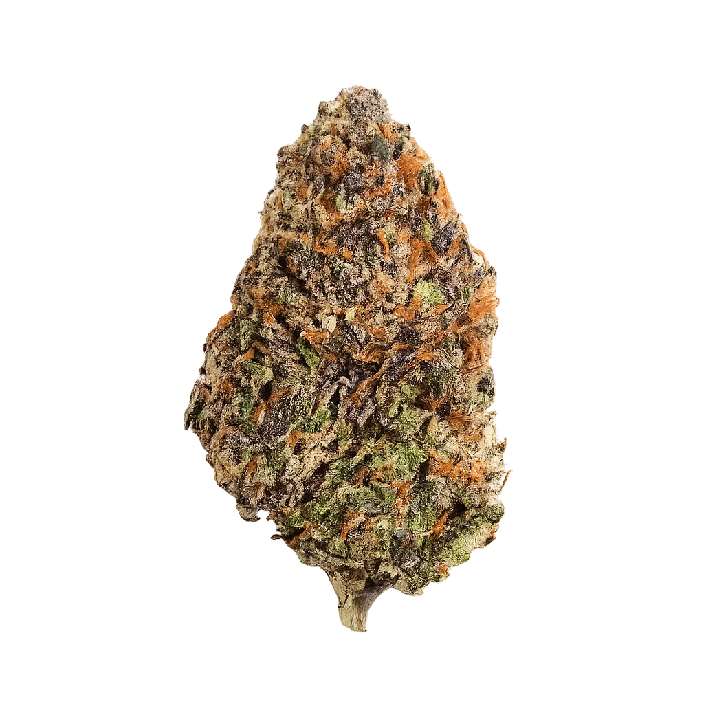 Ritualist 32/1 Babo Kush