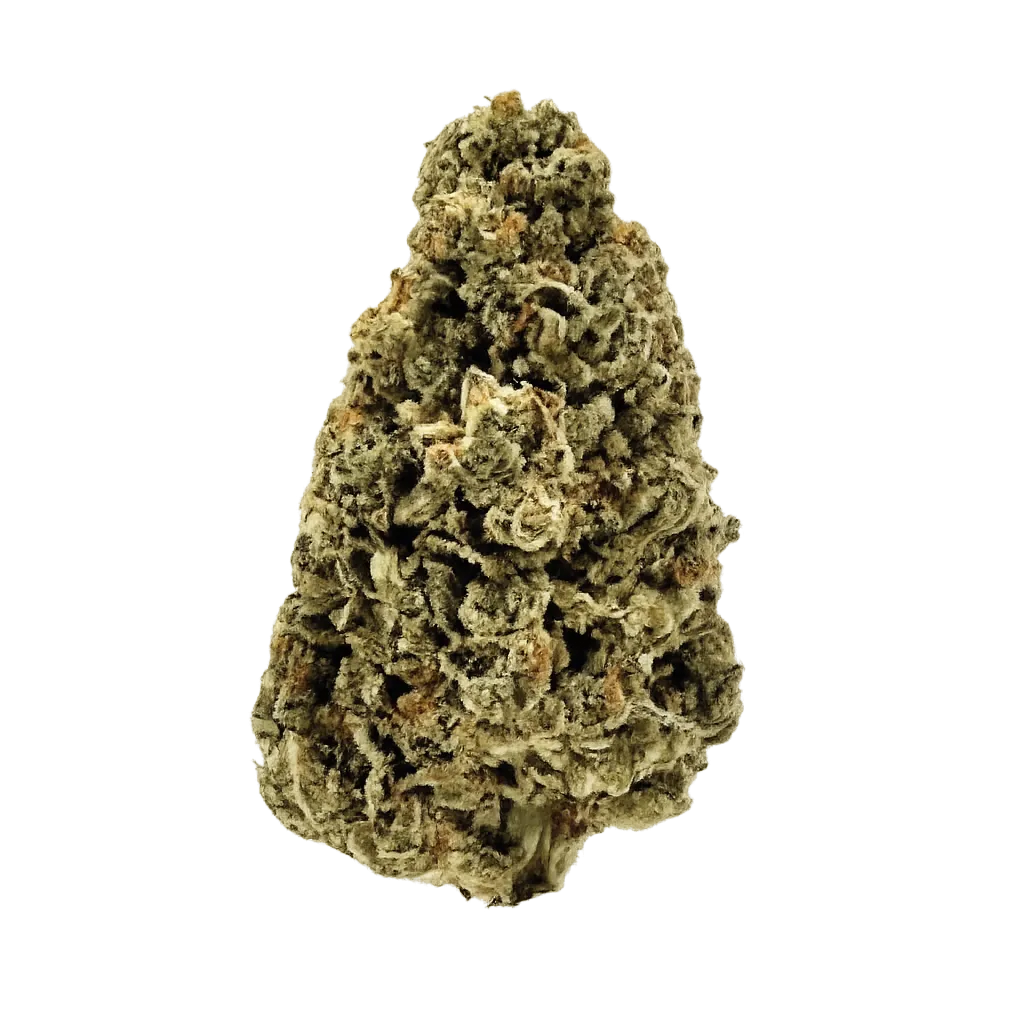 ROOBS ORIGIN FFC 27/1 Frosted Fruit Cake