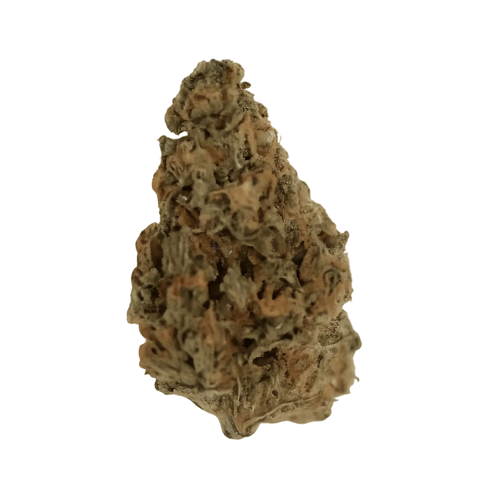 SEVEN ALLEGRO 24/1 Super Lemon Haze