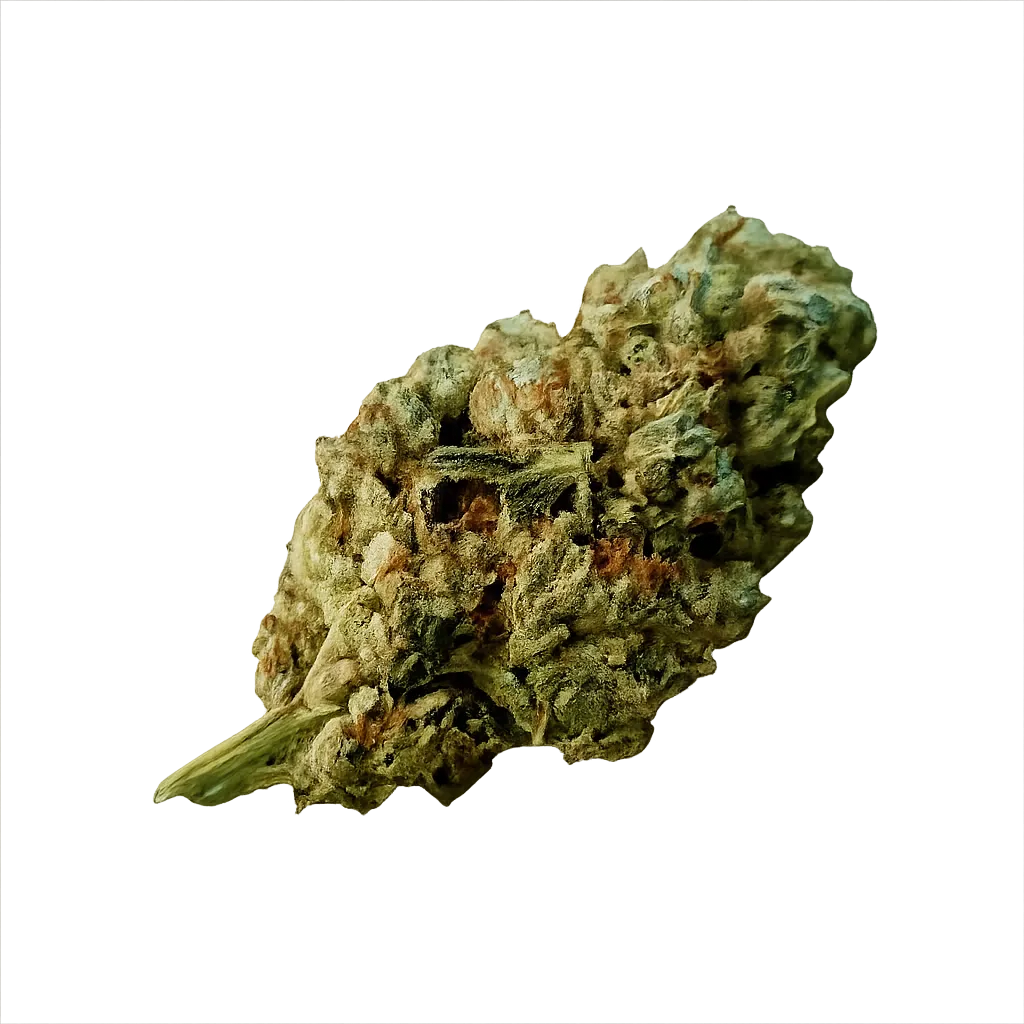 SEVEN LEGATO 20/1 Gorilla Glue
