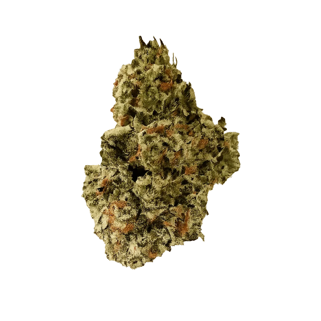 Sibanax Crescendo Cookies 22/1