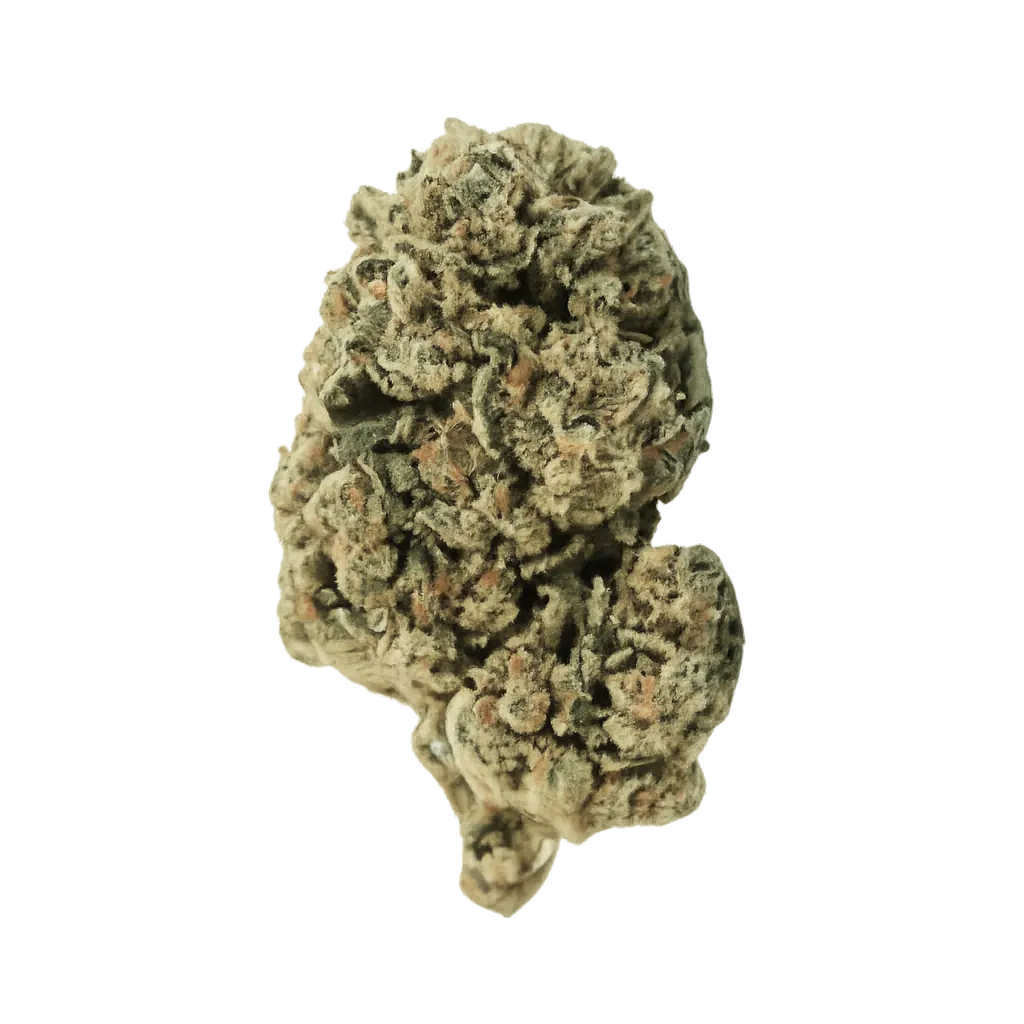 SKK WWZ 21/1 White Widow Haze