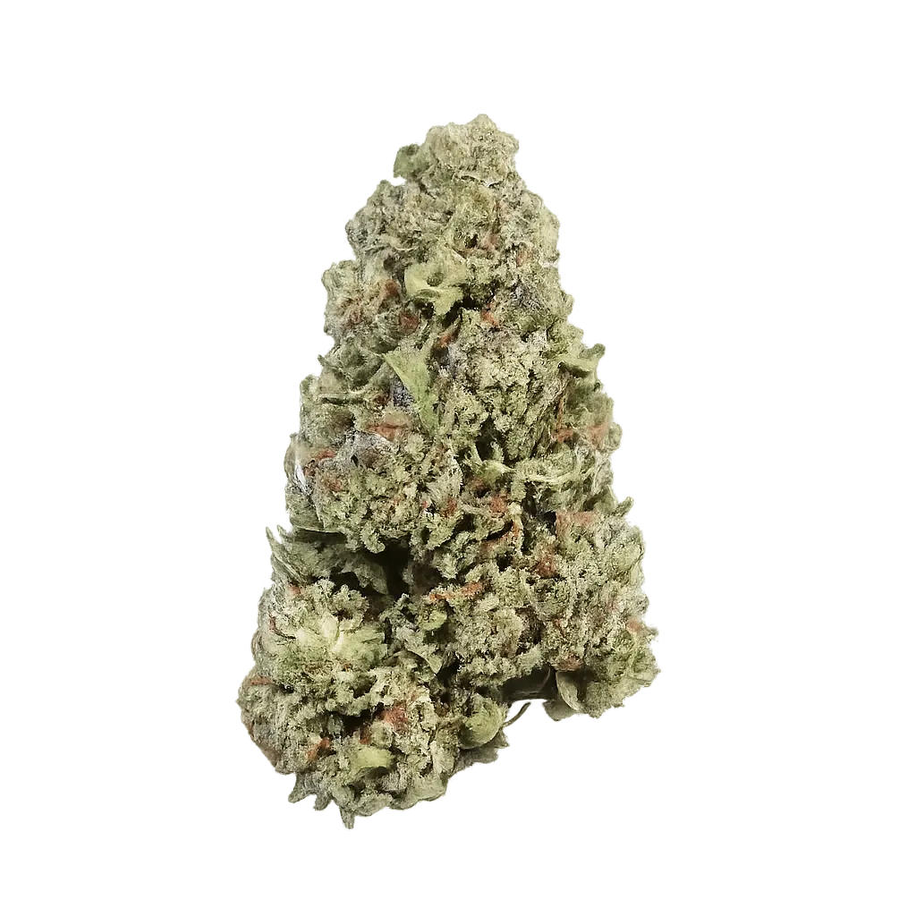 slouu 22/1 ZKS CA Z Kush