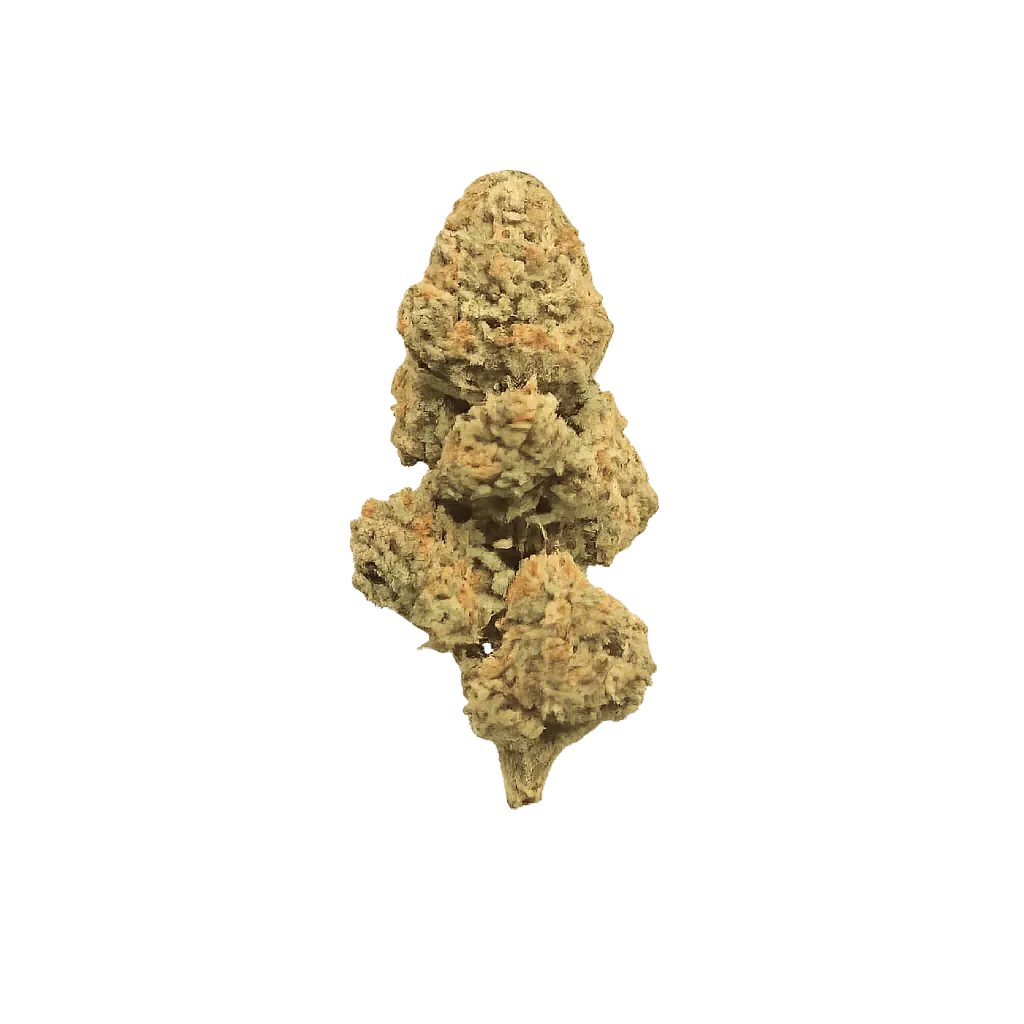 Slouu 25/1 CBC CA Citron Biker Cookies