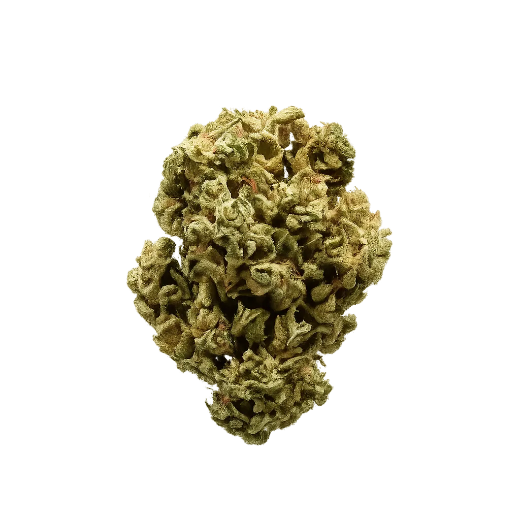 Suprobion MP 25/1 Magic Power