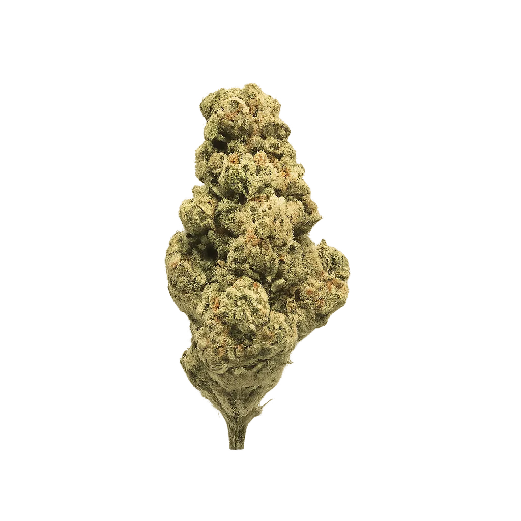 Suprobion PB 18/1 Papaya Bomb