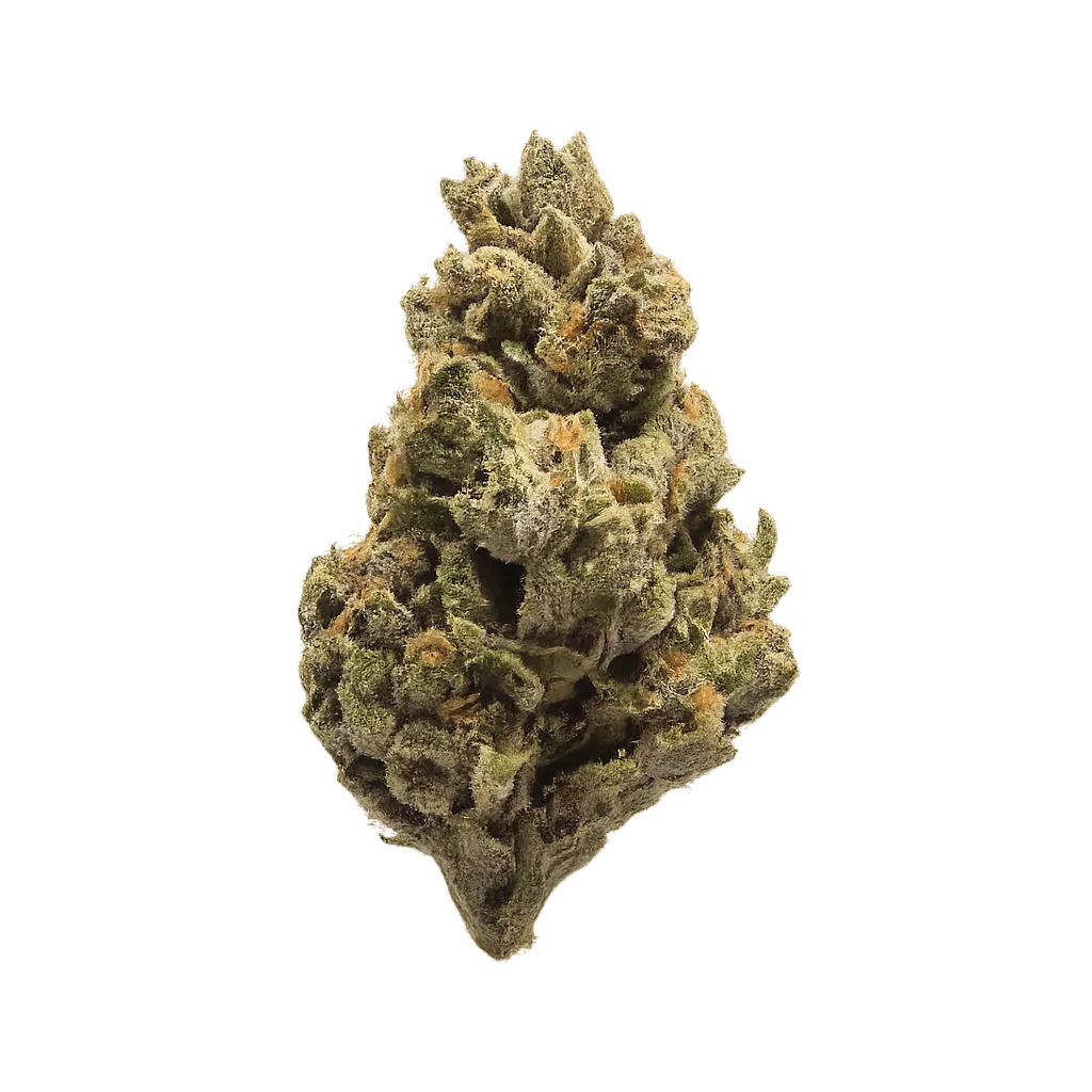 Suprobion PC 18/1 Purple Cookie