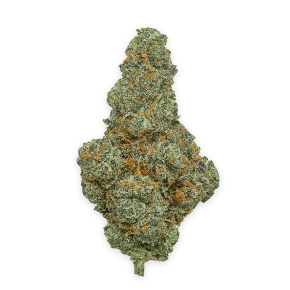 THC AKUT 23 BF Blunicorn