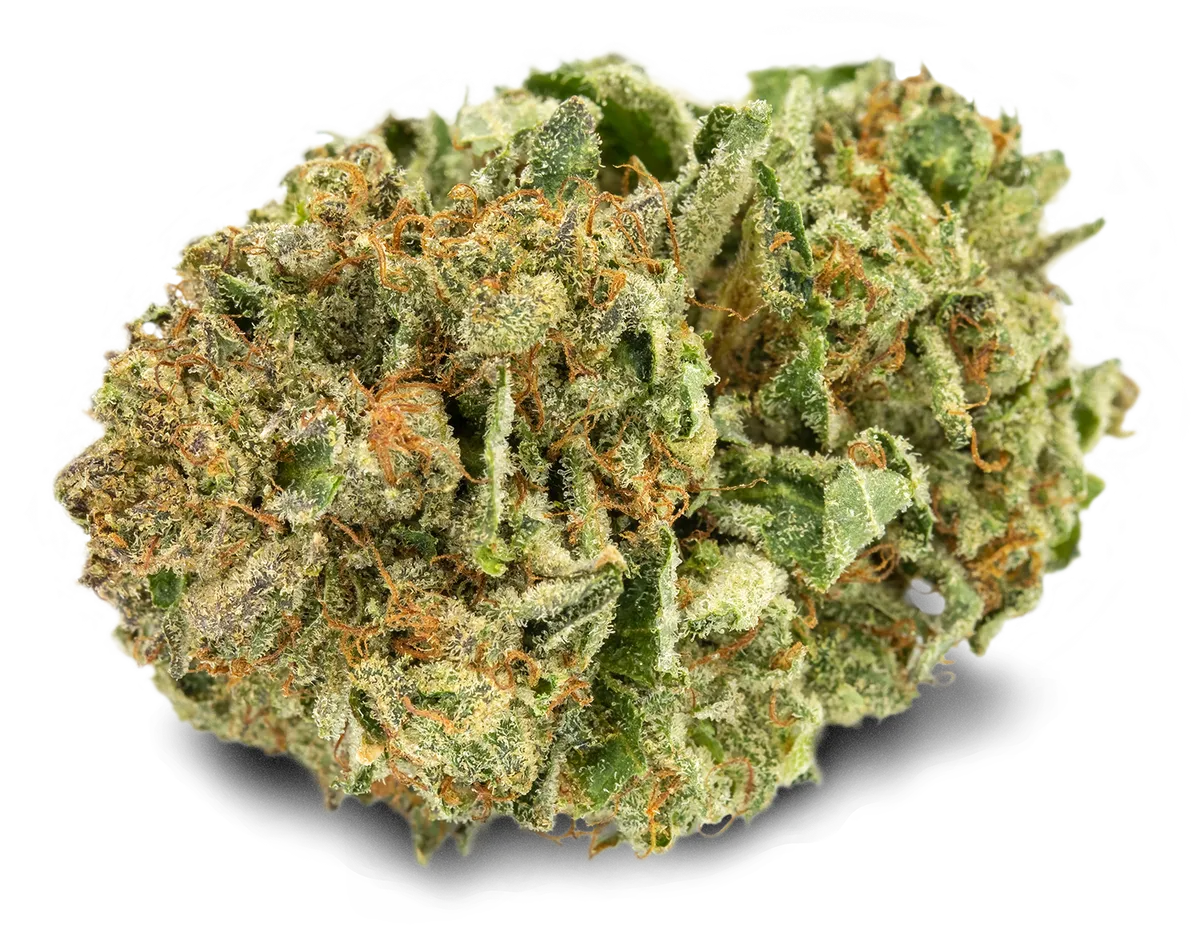 Tilray THC 22 Hybrid No. 2 Pink Kush
