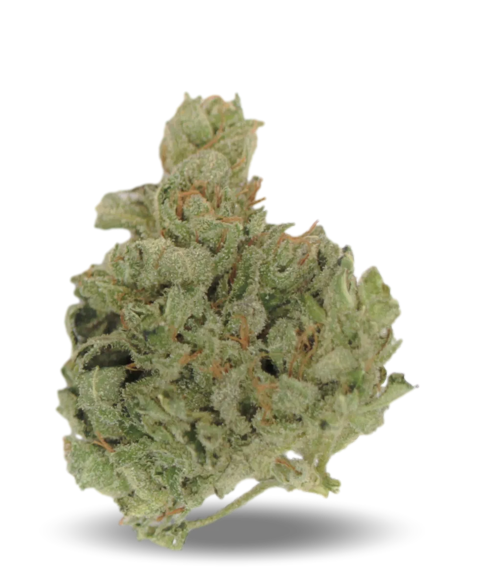 Tilray THC25 Spotlight Porto Sativa No. 4 Island Sweet Skunk