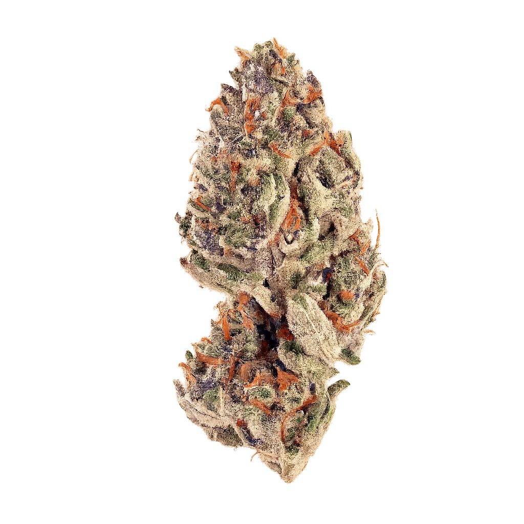 Upstate 29/1 C5 Slurricane