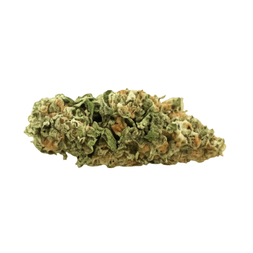 Weeco Duke 27/1 DK Duke Purple Rain