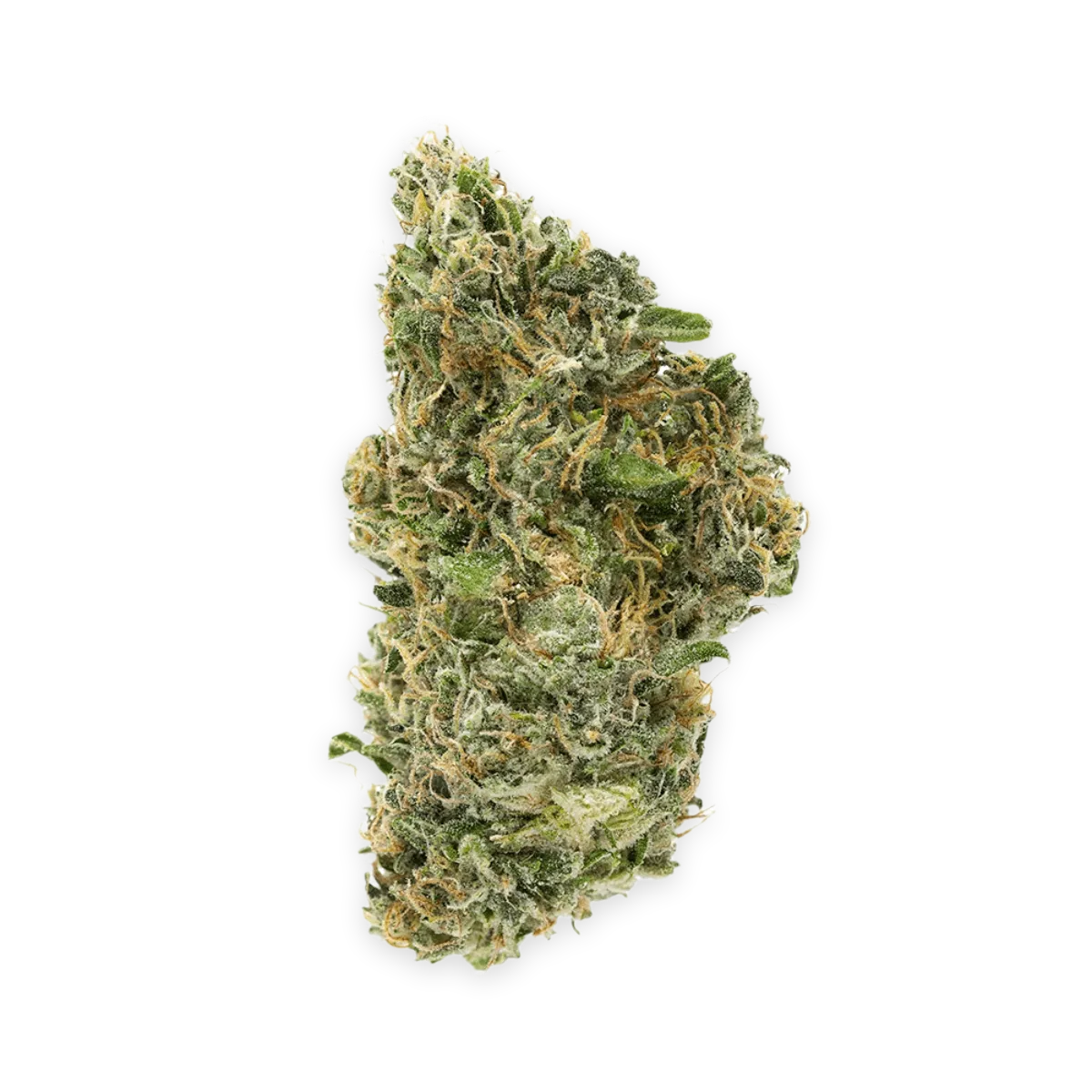 WEECO Tavira 23/1 Sour Punch