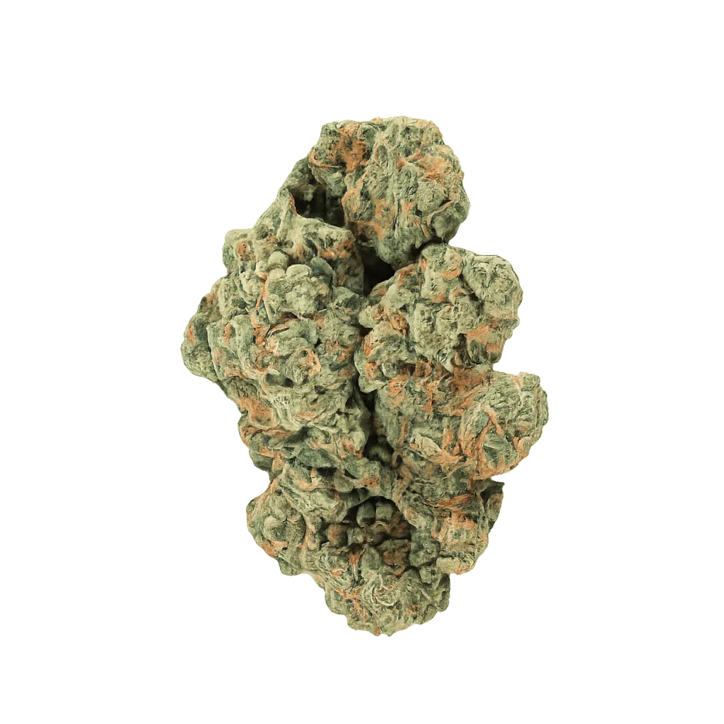 ZOIKS 33/1 LKV2 Lime Kush 2.0